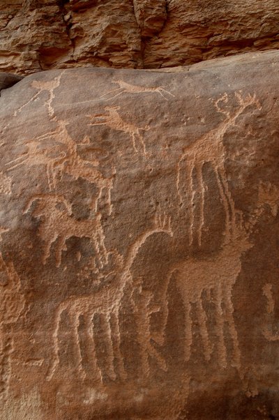 Felskunst, Vorgeschichte: Gravur von Giraffen, Straußen, Schafen, Hund und Figur im Uweinat-Massiv, Sudan (Karkur-Talh oder Karkur Talh). Zeitraum von 8000 bis 3000 v. Chr. von Unbekannt