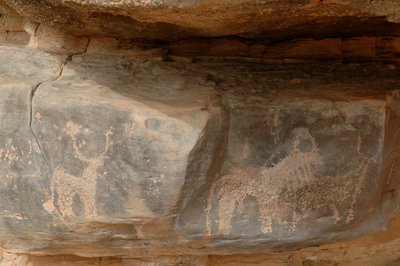 Felskunst, Vorgeschichte: Gravur von drei Rindern im Uweinat-Massiv, Sudan (Karkur-Talh oder Karkur Talh). Zeitraum von 8000 bis 3000 Jahre v. Chr. Fotografie von Unbekannt