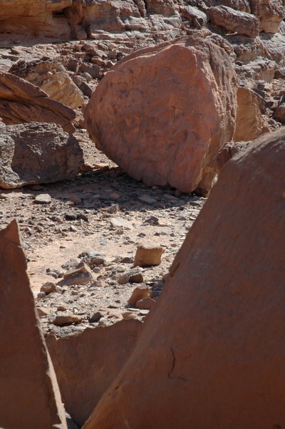 Felskunst, Vorgeschichte: Runde Felsgravur mit Giraffen und Straußen im Uweinat-Massiv, Sudan. Zeitraum von 8000 bis 3000 v. Chr. Fotografie von Unbekannt