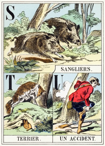 S T U: Wildschwein, Bau, Ein Unfall - Das Jagd-Alphabet, ca. 1890 von Unbekannt