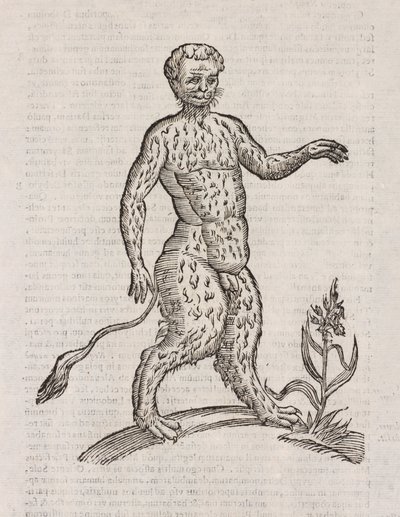 Andere Art von Satyr von Unbekannt