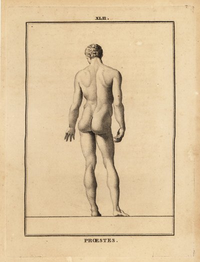 Statue von Orestes, nackt, Sohn des Agamemnon in der griechischen Mythologie von Unbekannt