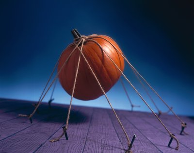 Gebundener Kürbis von Unbekannter Künstler
