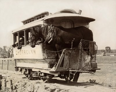 Der Cherrelyn-Pferdewagen, Denver, Colorado, ca. 1890 (s/w Foto) von Nicolas Liez