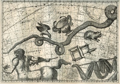 Das Sternbild der Hydra, mit einem Raben, der sie pickte, und einem Becher des Ausgleichs, entstanden aus dem Mythos von Apollo, der einen Raben mit einem Becher voll Wasser schickte, um Jupiter ein Opfer zu bringen. Unter der Hydra zeichnete der französis von Unbekannter Künstler