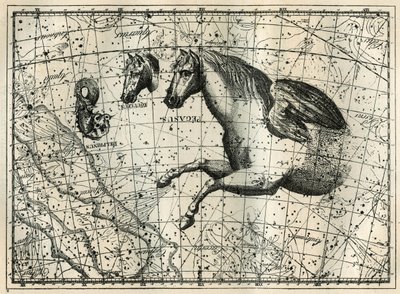 Die Konstellation des Pegasus, gezeichnet wie die vordere Hälfte eines Pferdes mit einem Paar Flügel, das kleine Pferd, ein Pferdekopf und der Delphin. Gravur aus „Les étoiles et les autres curiosités du ciel“ von Camille Flammarion von Unbekannt