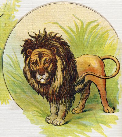 Der Löwe (Illustration aus „ABC L