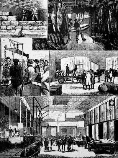 Der Prozess des Transports von gekühltem Fleisch von den USA nach Liverpool von Unbekannt