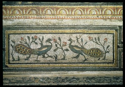 Zwei Pfauen, dekorativer Randdetail eines Mosaikbodens, der die Jahreszeiten und Jagdszenen darstellt, aus der konstantinischen Villa in Daphne, Römisch, ca. 325-330 n. Chr. von Unbekannt