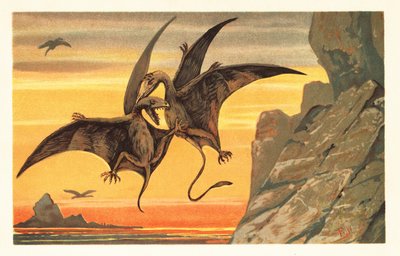Zwei Pterodaktylen kämpfen im Flug gegen einen purpurroten Himmel. 1908 (Lithografie) von Unbekannter Künstler