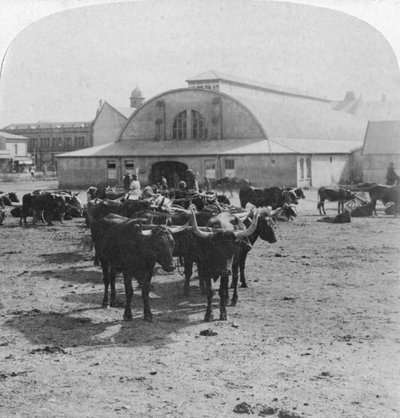 Gebäude, in dem Kriegsgefangene verurteilt wurden, Pretoria, Südafrika, Burenkrieg, 1901 von Underwood and Underwood