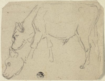 Skizzen eines weidenden Stiers, Kuhkopf (recto); Sitzende Kuh im Profil (verso) von Unknown