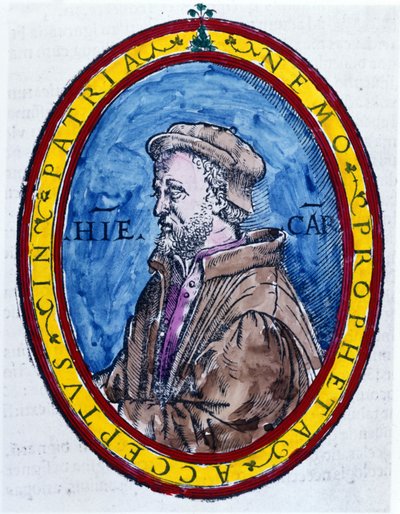 (Cardanus Hieronymus) Jerome Cardan, italienischer Arzt, Mathematiker, Philosoph und Astrologe (Pavia) von Unknown artist