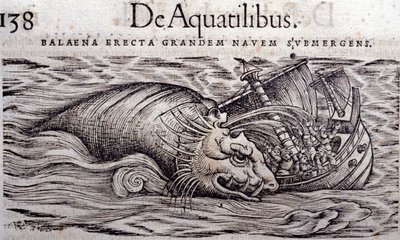 Ein Wal zerstört den Rumpf eines Bootes und verursacht dessen Untergang. Gravur in Historia Animalium von Conrad Gesner (1516 - 1565), Tiguri von Unknown artist