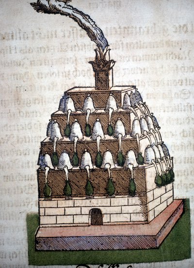 Alchemie: der Athanor. Gravur aus einem Buch von Pietro Andrea Mattioli (1500-1577). Frankfurt. von Unknown artist