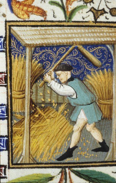 Allegorische Darstellung des August. Ein Bauer, der Weizen schlägt. Miniatur eines Manuskripts aus dem 14. Jahrhundert von Unknown artist