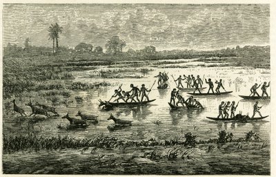 Antilopenjagd, jährliche Jagd während der Migration, Antilopen, die im Flusswasser verlangsamt werden, werden von Marutse-Kriegern geschlachtet, die sie im Gleichgewicht auf Kanus verfolgen. Gravur, um die Geschichte „Im Land der Marutses“ zu illustrieren, von Unknown artist