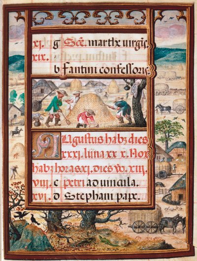 August. Bauern bei der Arbeit (Seite aus dem Manuskript „Stundenbuch“ von Manuel I. von Portugal) von Unknown artist
