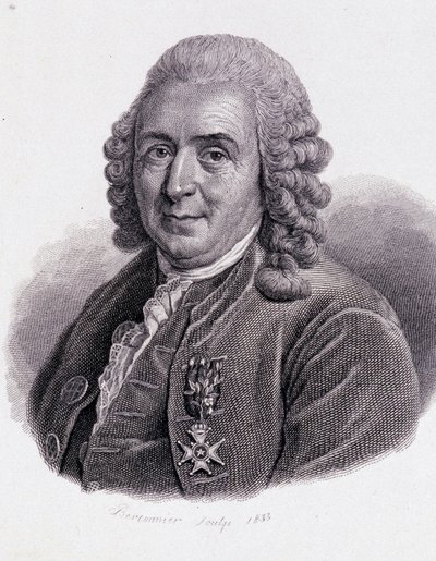 Carl von Linné, schwedischer Naturforscher und Schriftsteller (1707 - 1778) - in „Porträt nützlicher Männer“ von Unknown artist