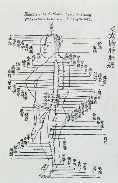 Chinesische Akupunktur: der Meridian der Blase von Unknown artist