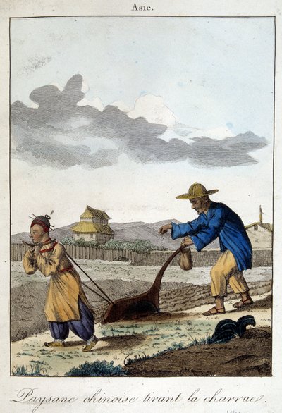 Chinesischer Bauer pflügt. In „Sitten und Gebräuche der Völker“, ed. Hocquart von Unknown artist