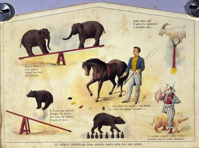 Zirkus: eine Tafel, die verschiedene Arten von Shows mit dressierten Tieren zeigt, darunter Elefanten, eine Ziege, einen Bären, Pferde und ein Schwein. Illustration aus dem 19. Jahrhundert von Unknown artist