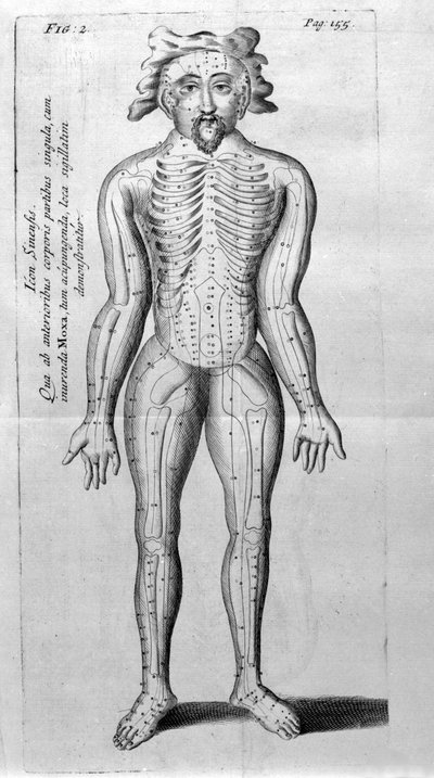 De Acupunctura von W. Ten Rhijne. London 1683. Erster westlicher Text über Akupunktur von Unknown artist