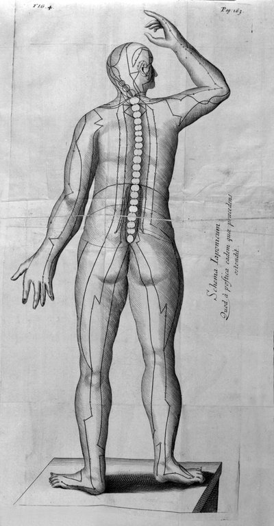 De Acupunctura von W. Ten Rhijne. London 1683. Erster westlicher Text über Akupunktur von Unknown artist