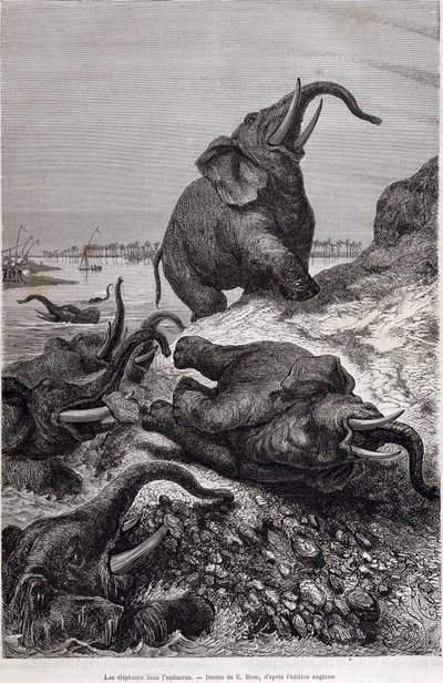 Elefanten erklimmen das Ufer eines Flusses, Bericht einer Expedition nach Zentralafrika im Auftrag von Sir Samuel White Baker, „Tour du monde“ von Unknown artist