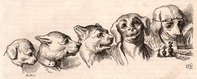 Entwicklung eines Hundes zu einer menschlichen Form von Unknown