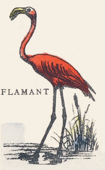 F: Flamingo von Unknown artist