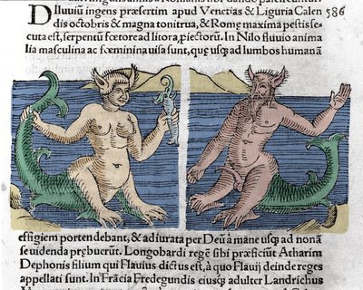 Fantastische Kreaturen: Ein Molch und eine Sirene im Nil gesehen. Gravur aus „Das Buch der Wunder“ (Prodigiorum ac ostentorum Chronicon Basileae) von Wolfhart (Conrad Lycosthenes) 1557 von Unknown artist