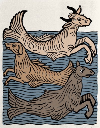 Fantastische Kreaturen: Darstellung einer Kuh, eines Hundes und eines Seepferdchens. Gravur aus „Hortus sanitatis“ von Unknown artist