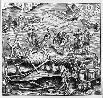 Fischen und Walfang, basierend auf einem Holzstich aus Thevets „Universal Cosmography“. Paris 1575 von Unknown artist