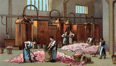 Blumendestillerie zur Herstellung von Blumenöl und -wasser. Chromolithographie aus dem späten 19. Jahrhundert. von Unknown artist