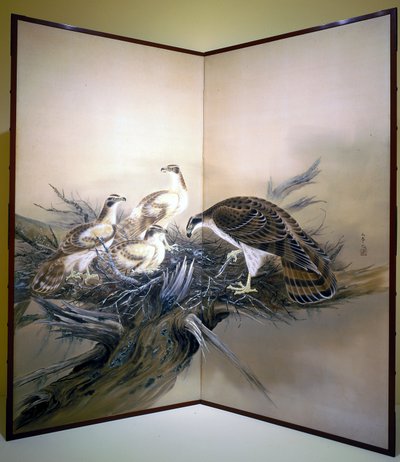 Falken, Nest und gebrochener Baum von Unknown artist