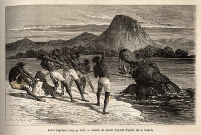 Nilpferdjagd mit dem Houarti-Stamm, mit Harpunen und Speeren, das wütende Tier lädt und widersteht. Gravur zur Illustration der Erforschung der abessinischen Nebenflüsse des Nils, von Sir Samuel W. Baker, 1861-62, veröffentlicht in „Le tour du monde“ von Unknown artist