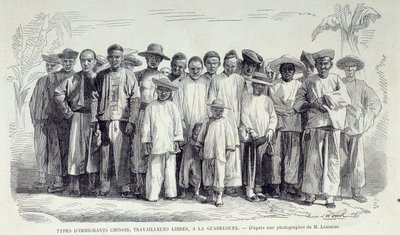 Geschichte der französischen Kolonien: Chinesische Einwanderer arbeiten in Guadeloupe. Zeichnung nach Fotografie des späten 19. Jahrhunderts von Unknown artist