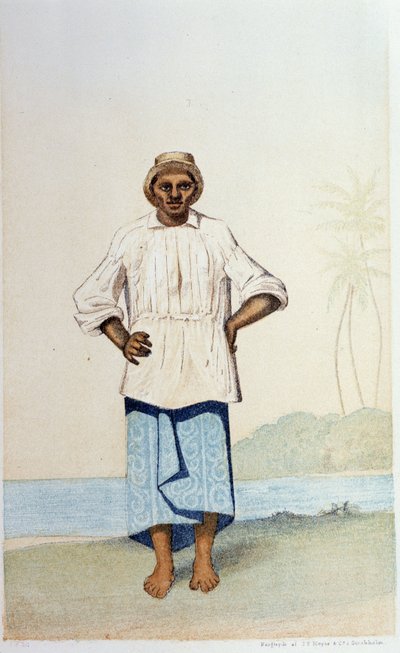 Hoaori aus Ozeanien - in „First Swedish Circumnavigation“ von Skogman Carl Johan Alfred, ed. Stockholm, Adolf Bonnier von Unknown artist