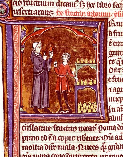 Wie man Birnen lagert (Miniatur aus dem Manuskript „Speculum historiale“ von Vincent de Beauvais) von Unknown artist