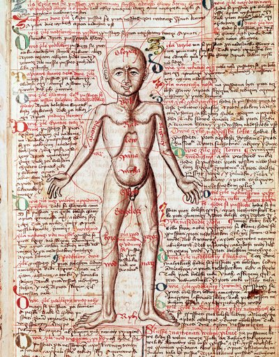 Menschlicher Körper. Gravur aus „Tractatus de pestilentia“ 15. Jahrhundert - Prag, Nationalbibliothek von Unknown artist
