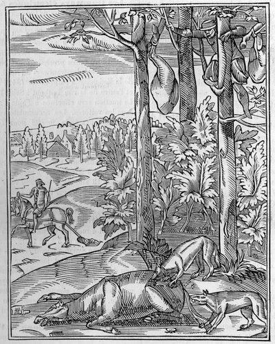 Wolfjagd: der Ausguck. Faksimile eines Holzschnitts aus dem 16. Jahrhundert. Gravur in „La Nature: revue des sciences et de leurs applications aux arts et a l