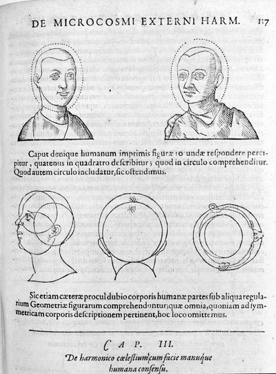 Bild der Physiognomie aus „Collectio Operum“ von Robert Fludd (Robertus de Fluctibus). London 1617 von Unknown artist