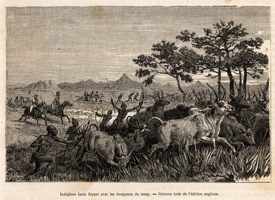 Indigene Baris (Bevölkerung des Sudan) bewaffnet mit Bögen und Pfeilen, fliehen mit den von Sir Baker beschlagnahmten Herden, um zu verhindern, dass sie andere Stämme in der Region angreifen, um sie zu plündern und zu versklaven, eine Gravur zur Illustrati von Unknown artist
