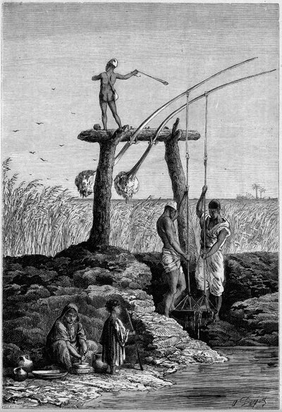 Bewässerung in Ägypten: Schadufs (oder Schadufs) am Ufer des Nils. Gravur in "Le Monde Illustré" Nr. 1313 vom 27. Mai 1882. von Unknown artist