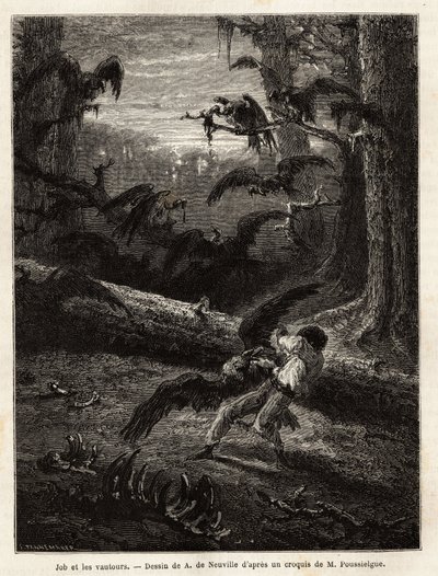 Job (Reisebegleiter des Redakteurs), von Geiern angegriffen. Gravur zur Illustration der Geschichte „Quatre mois en Florida“, von M. Pousselgue, 1851-1852, veröffentlicht in „Le tour du monde“, unter der Leitung von Edouard Charton, Hachette, Paris 1869 von Unknown artist