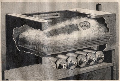 Künstliche Mutterschaft: ein Kinderinkubator - Gravur in „La Science française“ von Unknown artist
