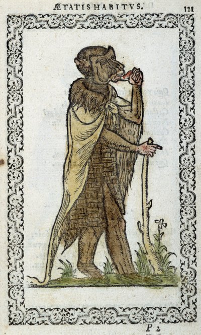 Der stehende Mönch - in „Habits et effigies“ von Jean Sulperius von Unknown artist