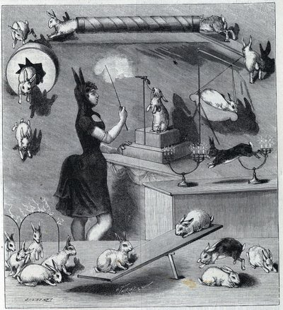 Die verkleideten Kaninchen des Neuen Zirkus in Paris: Dompteur im Kaninchenkostüm lehrt dem Tier die verschiedenen Nummern. In „La Nature“ 1890 von Unknown artist