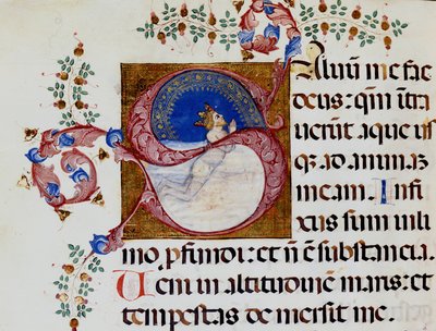 Lettrine S: David im tiefen Licht - Antiphonar des 15. Jahrhunderts. Stadtbibliothek von Rimini von Unknown artist
